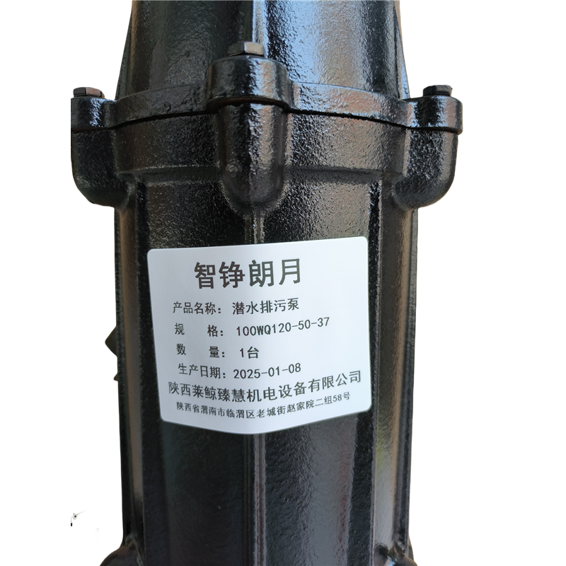 智铮朗月 潜水排污泵 100WQ120-50-37 台高清大图