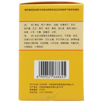 仲景 黄连上清丸 6g*10袋/盒