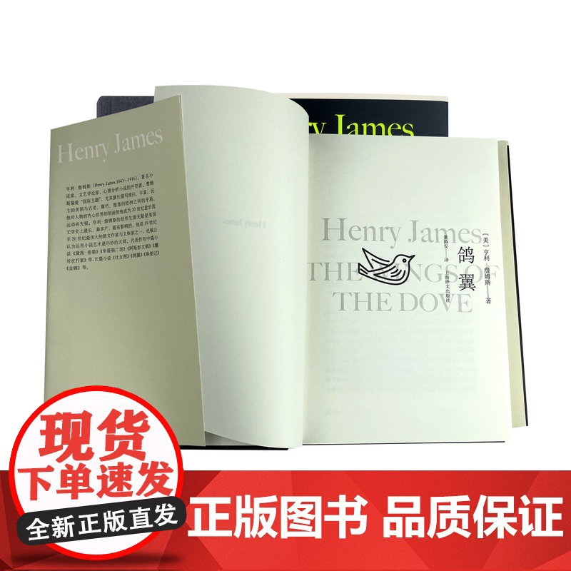 鸽翼 [美]亨利·詹姆斯 黄协安 译 意识流 心理分析 “国际主题”的小说 小说艺术 上海译文出版社 正版高清大图