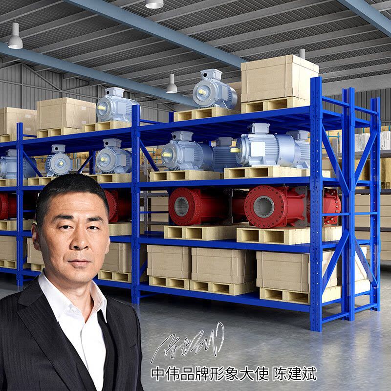 中伟(ZHONGWEI)货架仓储货架储物架展示架重型2000*2000*600mm 500kg/层 四层主架图片