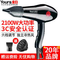 【专业护发】永日（YOURS）电吹风机专业2100W大功率家用低噪音恒温护发吹风筒YR8820 集风嘴+散风嘴 6档