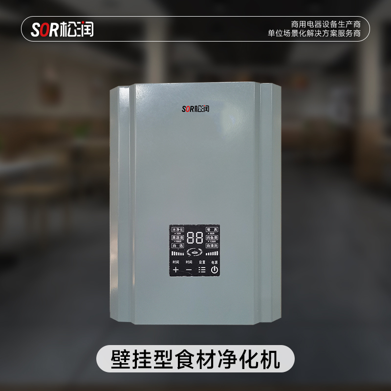 SOR松润 商用食材净化机 食堂配送中心食品加工厂用 SOR-G306 壁挂型食材净化机