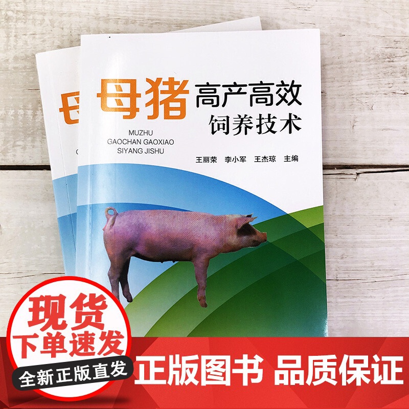 母猪高产高效饲养技术 王丽荣 化学工业出版社 正版书籍高清大图