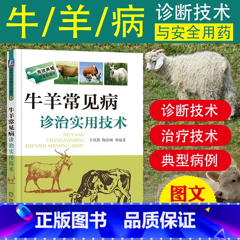 【正版】牛羊常见病诊治实用技术养殖致富直通车养殖牛羊大全牛羊病防治技术书兽医临床工具书畜牧兽医辅导书羊牛常见病防治措施