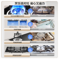 老板(Robam)星辰系列燃气炉燃气灶20B0A 双灶嵌入台式煤气灶5.2kW可调节灶具换装不改孔