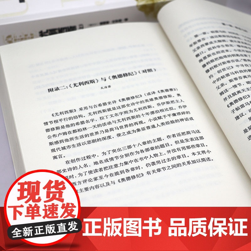 尤利西斯 上下册 詹姆斯乔伊斯原著无删减完整版萧乾文洁若翻译经典译本二十世纪百大英文小说意识流小说的代表作外国世界名著小高清大图