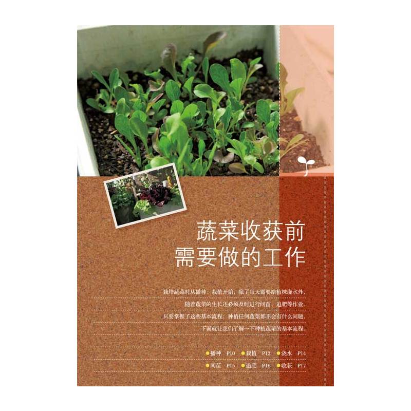[正版]实用的蔬果盆栽:阳台小菜园 日本靓丽出版社 种菜书 家庭种菜书家庭种菜书快乐农场种菜 我家的阳台菜园
