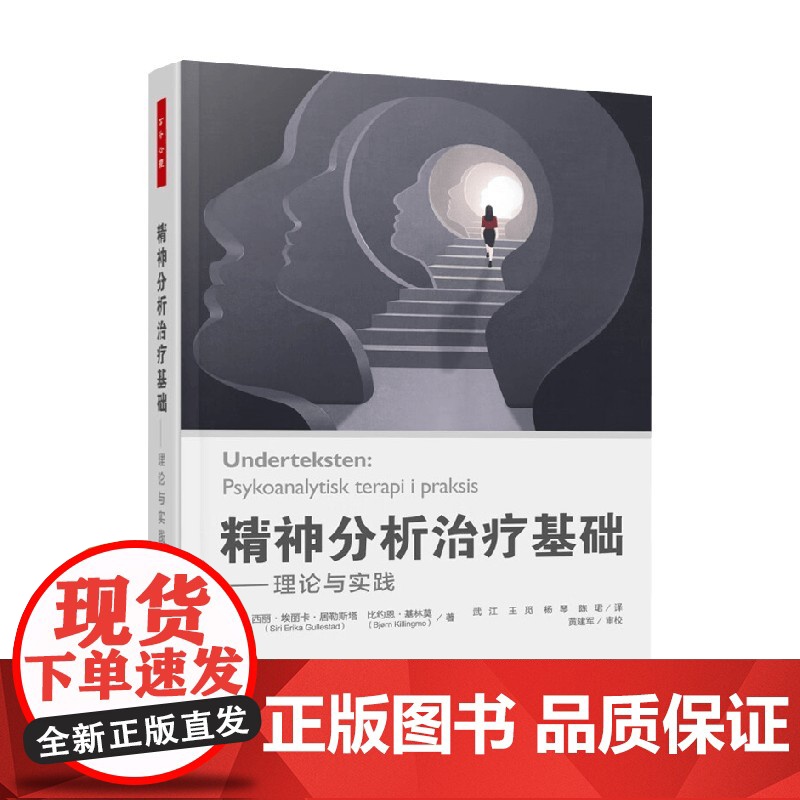 万千心理 精神分析治疗基础 西丽·埃丽卡·古勒斯塔德等 著 心理学