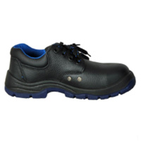 3M ECO3022,43 ECO3022经济型安全鞋,43(包装数量 1双)(TG)