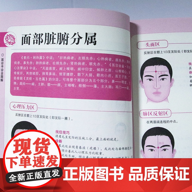 面诊手诊全图解 学面诊手诊舌诊脉诊图解书 中医基础理论诊断入门书籍 掌纹图解中医手疗养生调理书 中医诊断自学教程面诊手诊高清大图