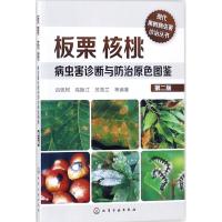 板栗核桃病虫害诊断与防治原色图鉴(第二版)
