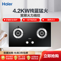 海尔(Haier)燃气灶 一级能效 嵌入式 双灶 家用 燃气灶具 JZT-Q2B0(20Y)(液化气)海尔厨房电器