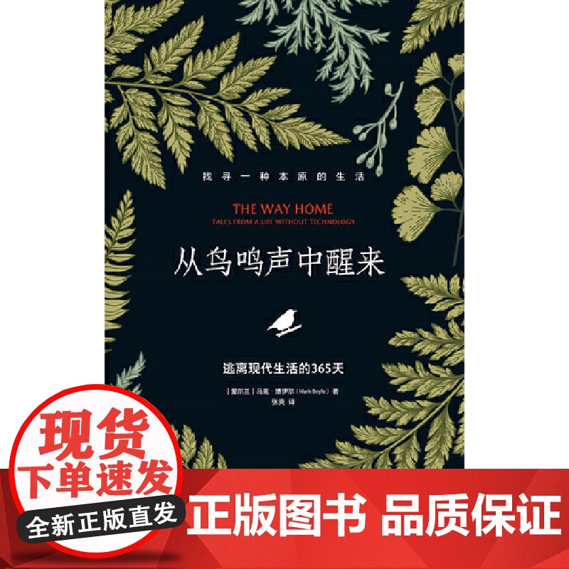 从鸟鸣声中醒来:逃离现代生活的365天高清大图