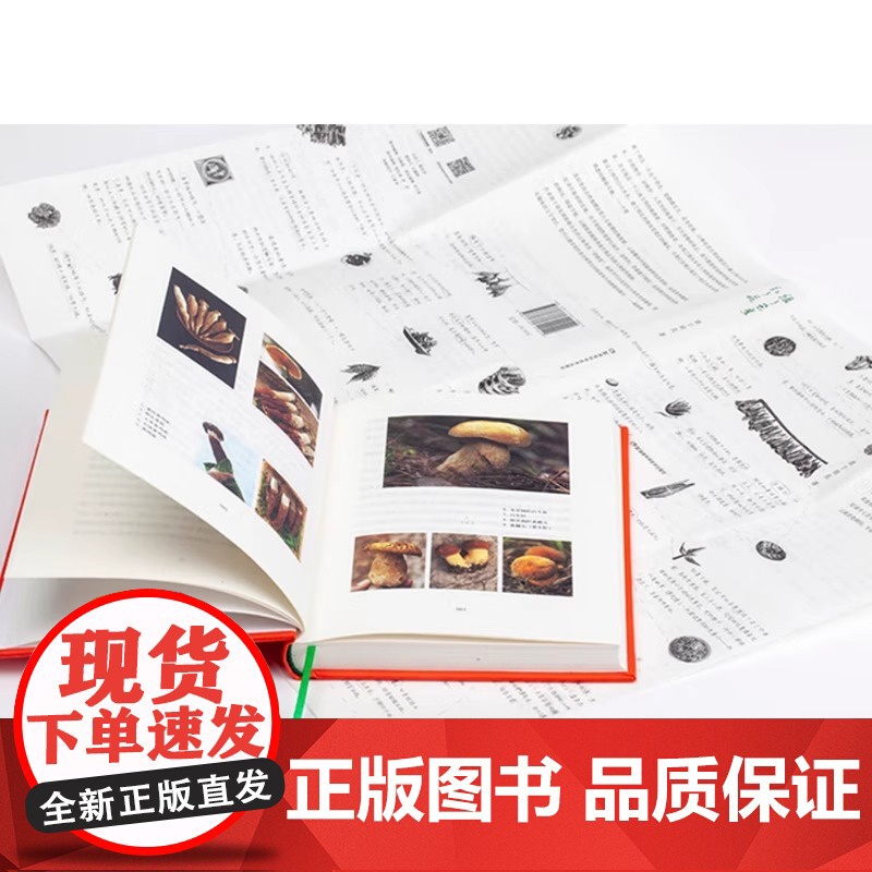 [央视网]绿了芭蕉红了花+山水坝子探食记作者敢于胡乱 舌尖上的中国 风味人间 美食顾问 带你发现云南真滋味DL高清大图