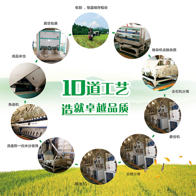 中香泰优香米5KG(线上款) 南方大米10斤 猫牙米 丝苗米 当季新米 香甜软糯 煲仔饭专用 长粒香米(新旧包装随机)高清大图