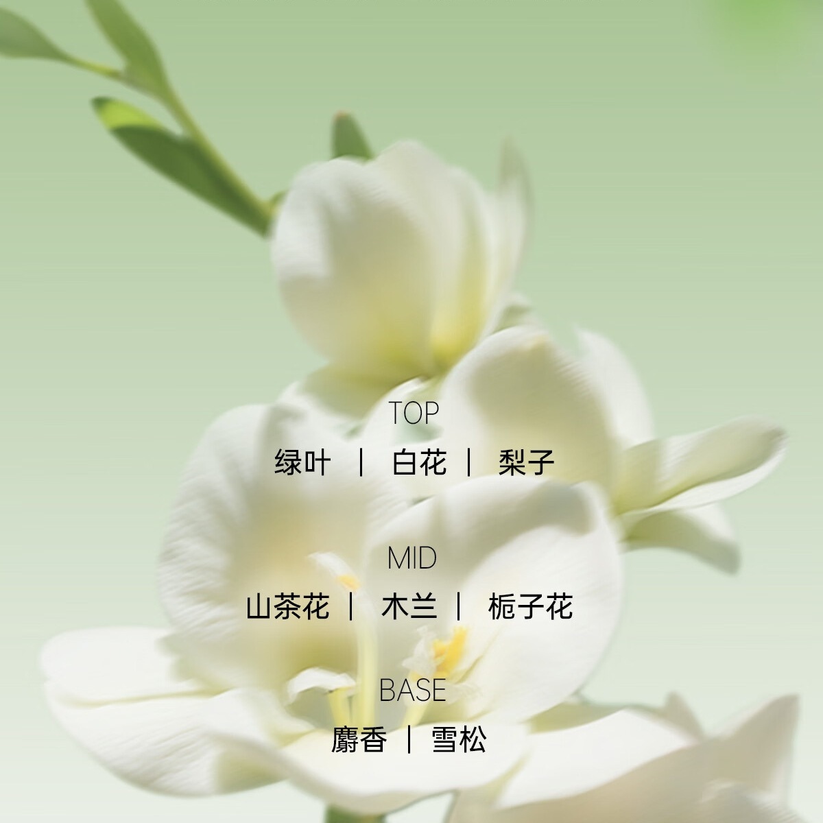 朴致 PURZEAL控油蓬松洗发水400ml去屑蓬云织雾清爽去油清洁洗发露洗头水高清大图