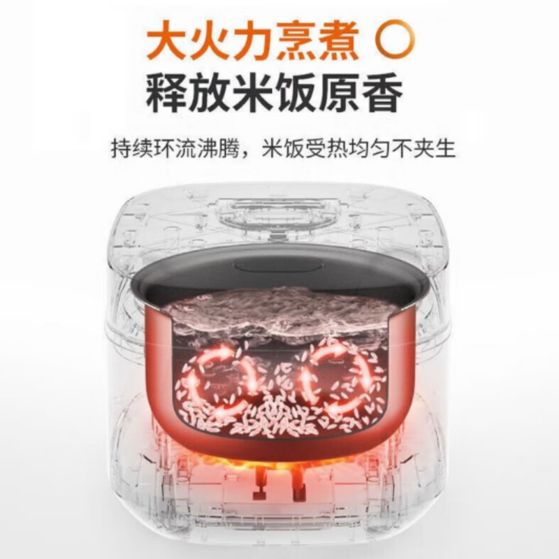 九阳(Joyoung)3L 家用电饭锅 F30FZ-F4170高清大图
