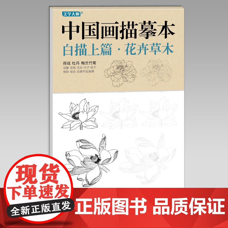 美学大师 中国画描摹本工笔画上下2册/基础训练篇+强化提高篇sh高清大图