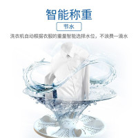 海尔(Haier)海尔波轮洗衣机 家用双屏幕显示 无外桶双动力 全自动直驱变频波轮洗衣机节能 免清洗 10公斤洗衣机