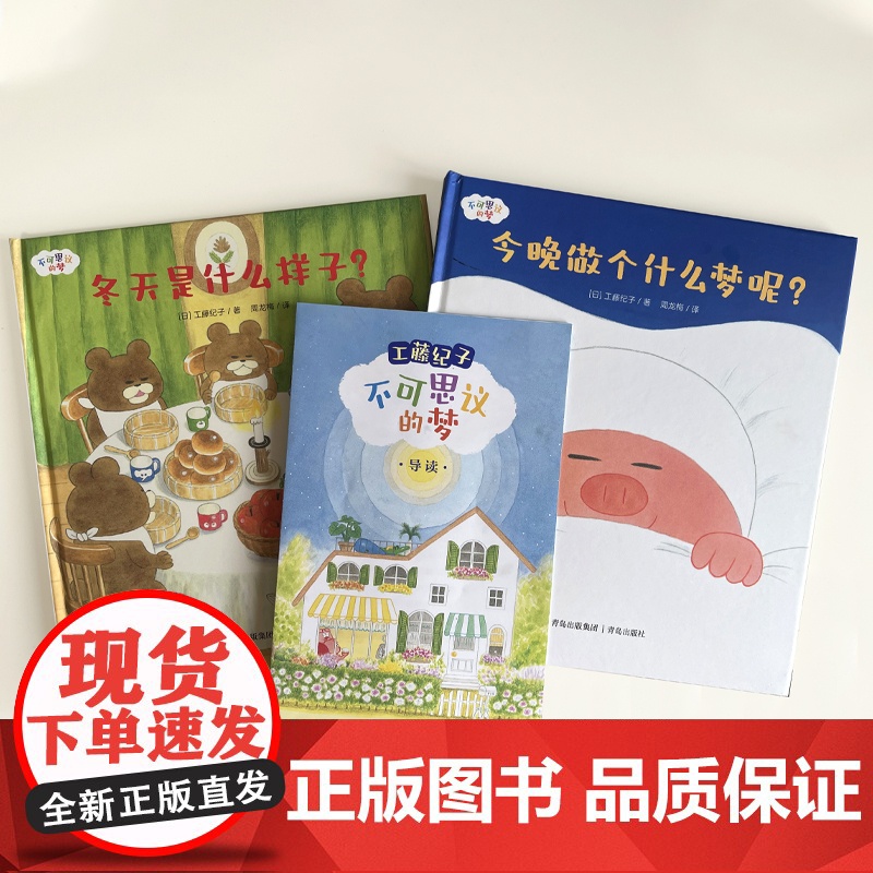 不可思议的梦 + 今晚做个什么梦+ 冬天是什么样子 工藤纪子儿童睡前亲子故事书3-6岁儿童绘本亲子睡前共读故事书高清大图