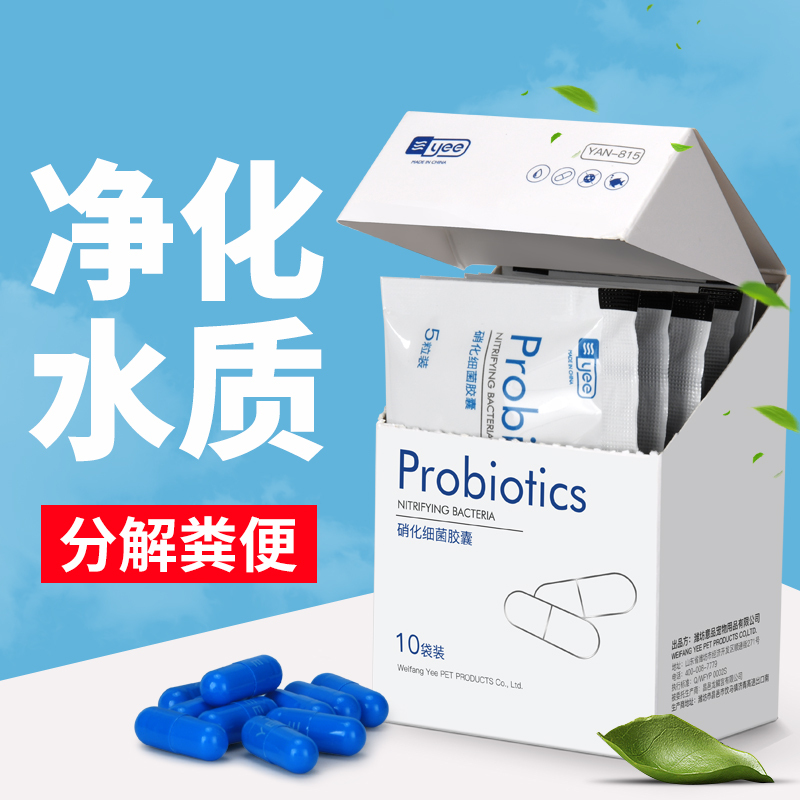 浓缩硝化细菌干粉细菌鱼缸用活菌水族养鱼用品水质净化硝化菌高清大图