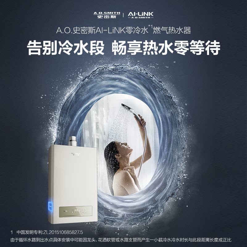 A.O.史密斯燃气热水器JSQ31-NDJWi图片