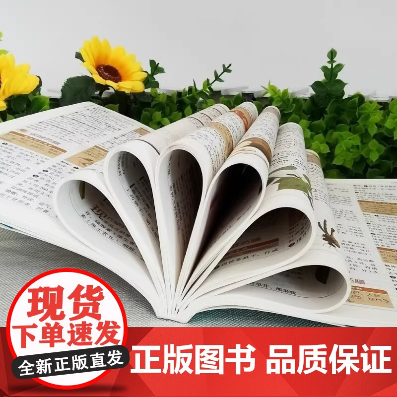 中医入门一看就懂中医入门基础理论中药养生方剂验方养生保健调理诊断中医学中医诊断学零基础学中医中医自学百日通中草药书籍大全高清大图