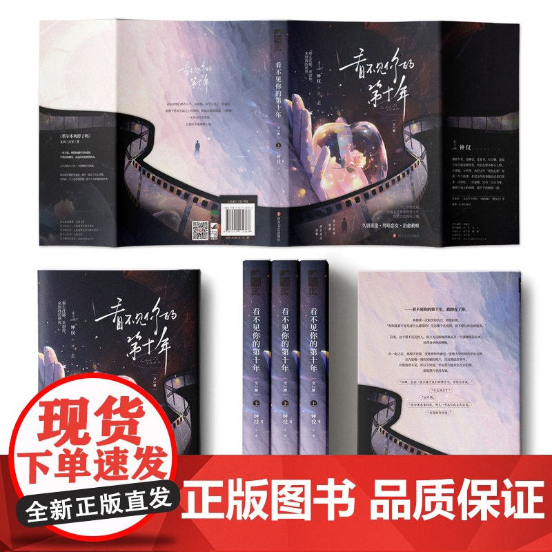 看不见你的第十年:全2册 钟仅著 清冷倔强 林循x眼盲情深 沈郁 看不见你的第十年,我拥有了你 青春小说实体书 大鱼新