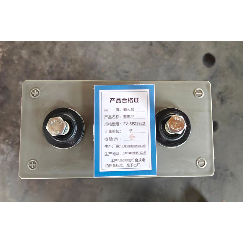 鑫天顺蓄电池 2V-8PZS920 节高清大图
