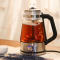 安化黑茶黄金蛋煮茶器黑茶煮茶壶家用全自动蒸汽玻璃电热花茶普洱蒸茶壶 C11安化黑茶[单壶]特价