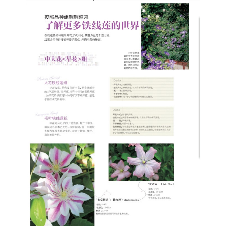[醉染正版]铁线莲号 花园MOOK 日本园艺杂志花卉园艺植物栽培技术入门园艺书籍大全庭院花卉植物绿化绿植盆栽造景设计花卉高清大图