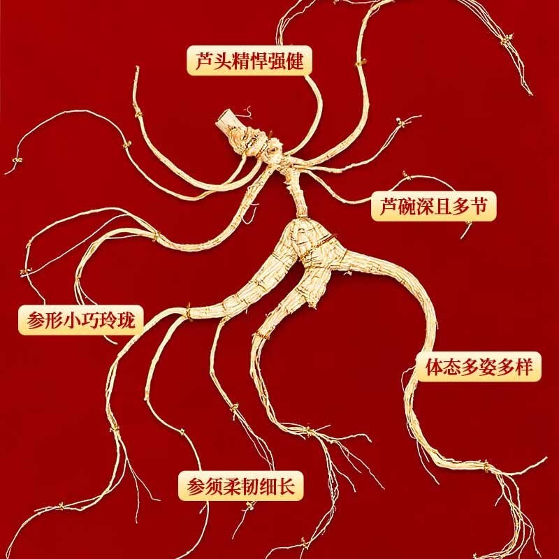 长白山人参野山参A7约20-40年干货礼盒野山参13g*1盒
