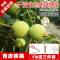 新货原味湿核桃薄皮生嫩新鲜绿皮去青皮核桃孕妇坚果现摘现发 带青皮核桃5斤(送三件套)