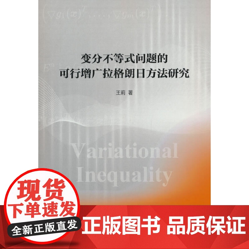 变分不等式问题的可行增广拉格朗日方法研究高清大图