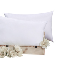 富安娜(FUANNA) 枕芯-恬享1+1枕