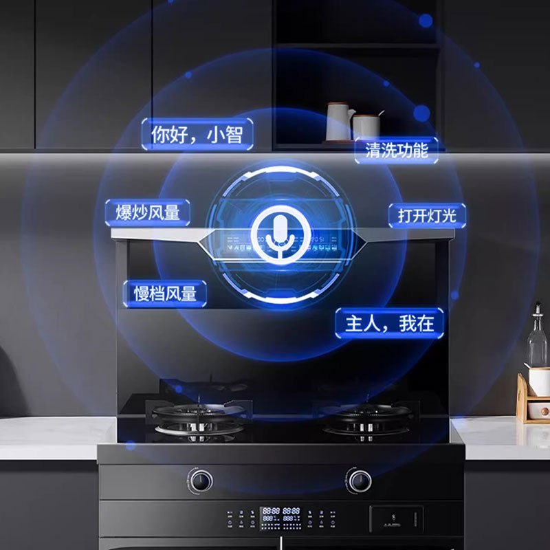 旺厨好太太 900气电集成灶 自动清洗侧吸下排式烟机一体灶 油烟机燃气灶消毒柜家用烟灶消一体 新款智控语音 天然气高清大图