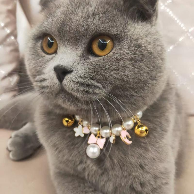 宠物狗珍珠铃铛项链可爱蝴蝶结猫咪狗狗泰迪小型犬挂饰星星月亮款带