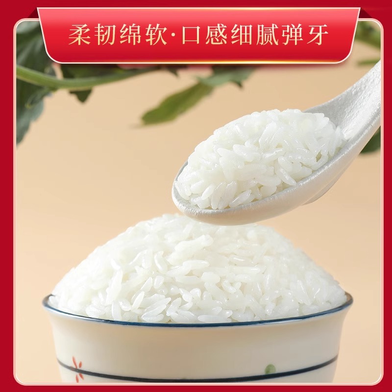 邻家饭香贵港精选香米5kg/袋真空双层包装乡村振兴消费帮扶832系列FP119高清大图