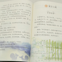 新版部编2018年2二年级下册语文书人教版新课标小学课本教材义务教育教科书人民教育出版社 2二年级语文下册课本 人教二下