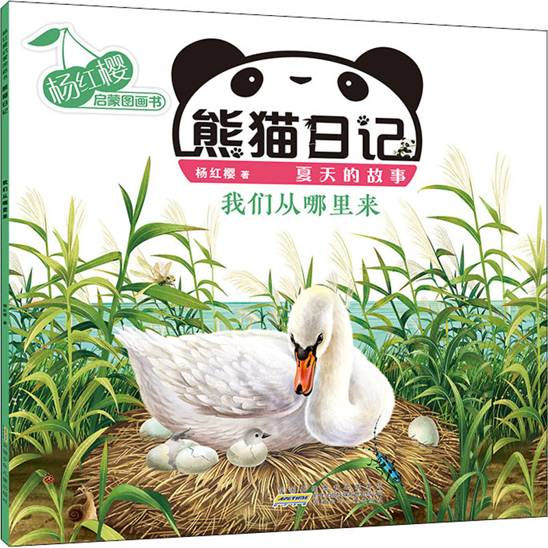 【M】杨红樱启蒙图画书 熊猫日记 夏天的故事 我们从哪里来-9787570710430