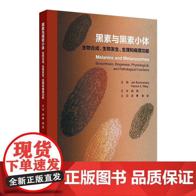 黑素与黑素小体生物合成生物发生生理和病理功能和黑色素糖皮质激素神经元美容美白祛斑外科学人卫专业知识皮肤科医学书高清大图