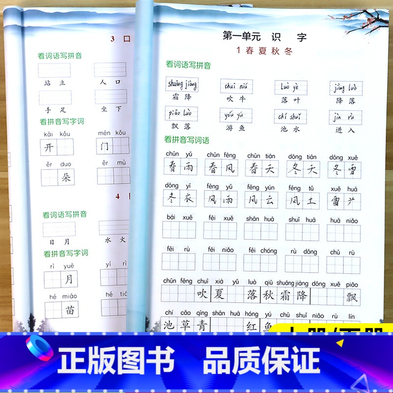 看拼音写词语 一年级上 [正版]2024新 看拼音写词语一年级上册下册语文专项组合训练小学1年级下生字注音汉字字词句子强