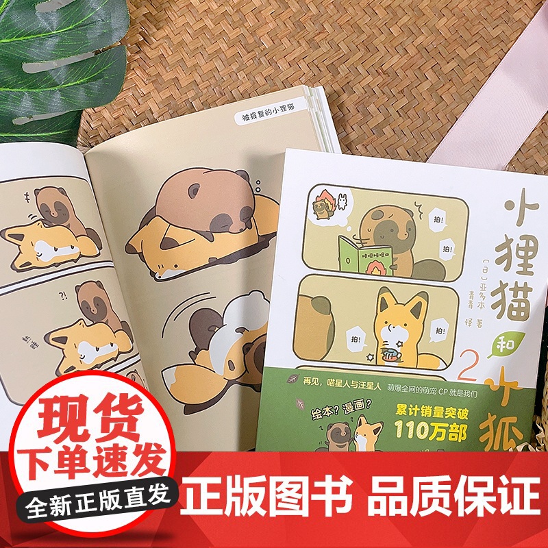 正版 小狸猫和小狐狸1+2 全2册 调皮小狐狸与憨厚小狸猫的激萌日常暖心治愈的跨物种友谊 温暖治愈心灵动物解压治愈系漫画高清大图