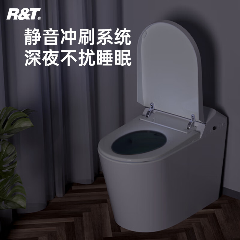 瑞尔特(R&T)智能马桶一体机带水箱脚感冲水座温调节轻智能坐便器 A1