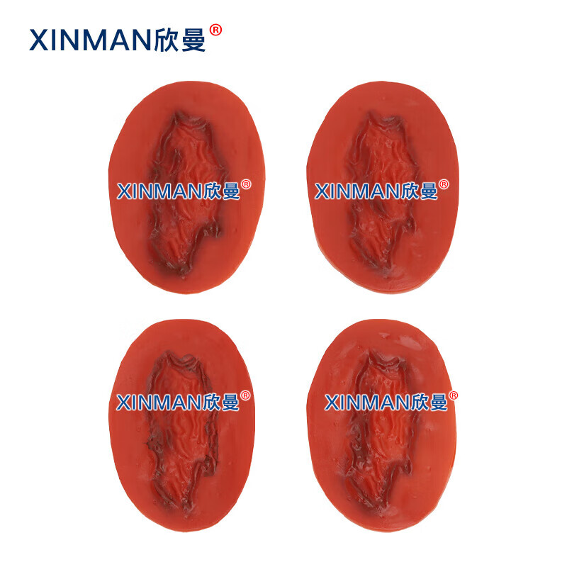 欣曼科教 创伤护理评估模块 伤情呈现模拟器材 34部件战创伤伤情模块组件 伤情呈现 伤情识别 XM-SQ34高清大图