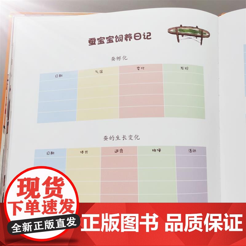 双语中国故事神奇的蚕丝 英汉双语蚕宝宝绘本 王琳娜著 余治莹译 陆科兵绘 少儿英语少儿科普大卫不可以 我爸爸我妈妈同译者高清大图