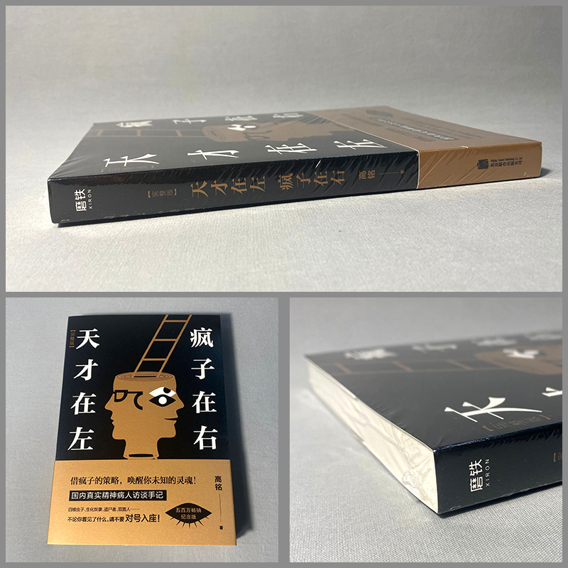 [正版]天才在左疯子在右完整版理学书籍 墨菲定律 悬疑治愈系精神病院故事真实社会心理学入门基础书高清大图