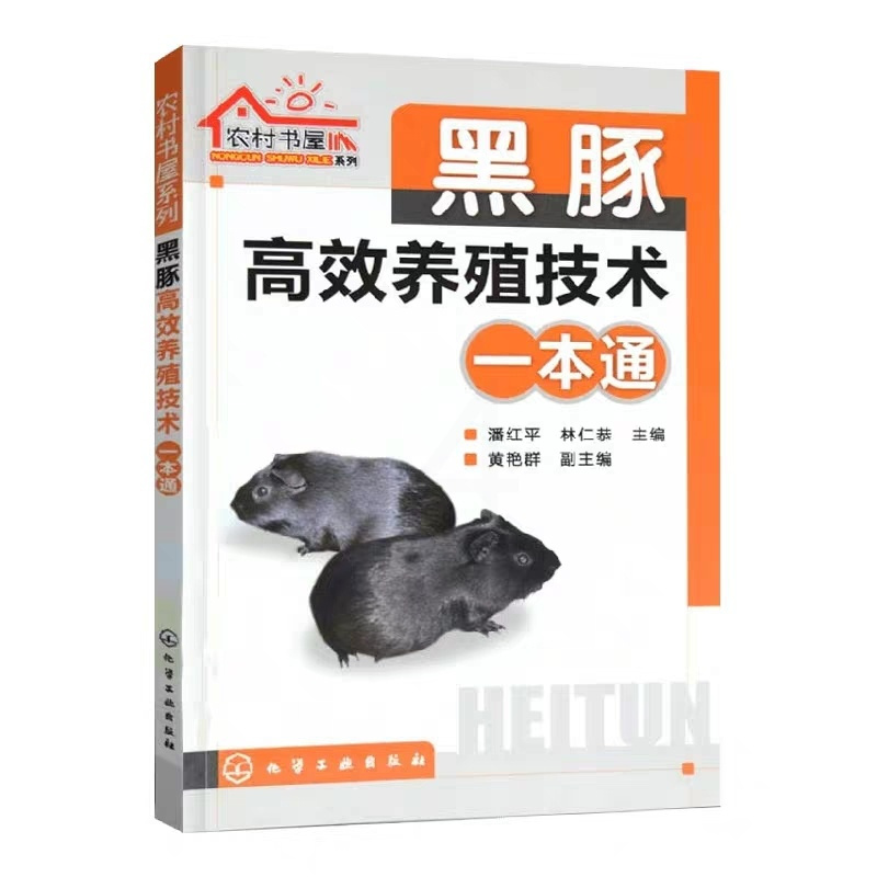 [正版]黑豚高效养殖技术一本通黑豚鼠养殖技术与疾病防治技术大全书荷兰猪饲养技术宝典黑豚饲养饲料配置与建厂安全饲养方法黑