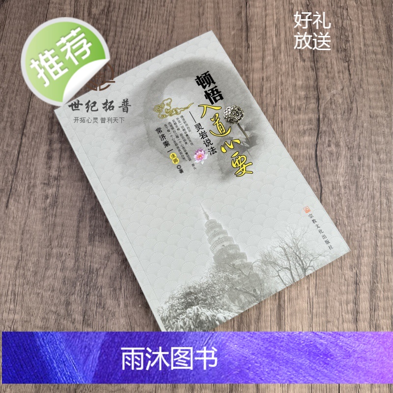 正版 顿悟入道心要:灵岩说法 常济乘一著 宗教文化出版社高清大图
