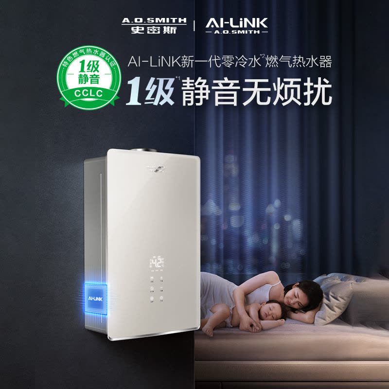 A.O.史密斯燃气热水器JSQ31-NVJWi图片